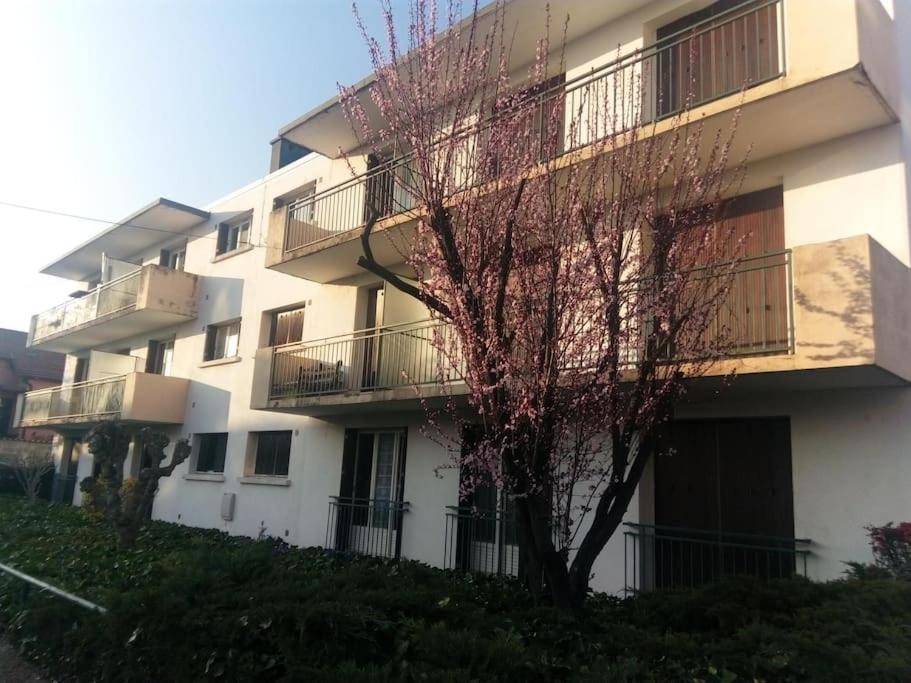 Appartement Avec Balcon Et Parking Prive Roanne Exteriér fotografie