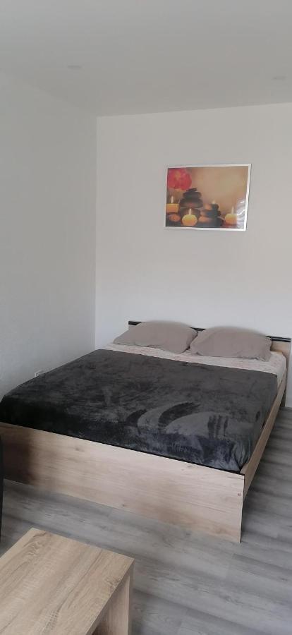 Appartement Avec Balcon Et Parking Prive Roanne Exteriér fotografie